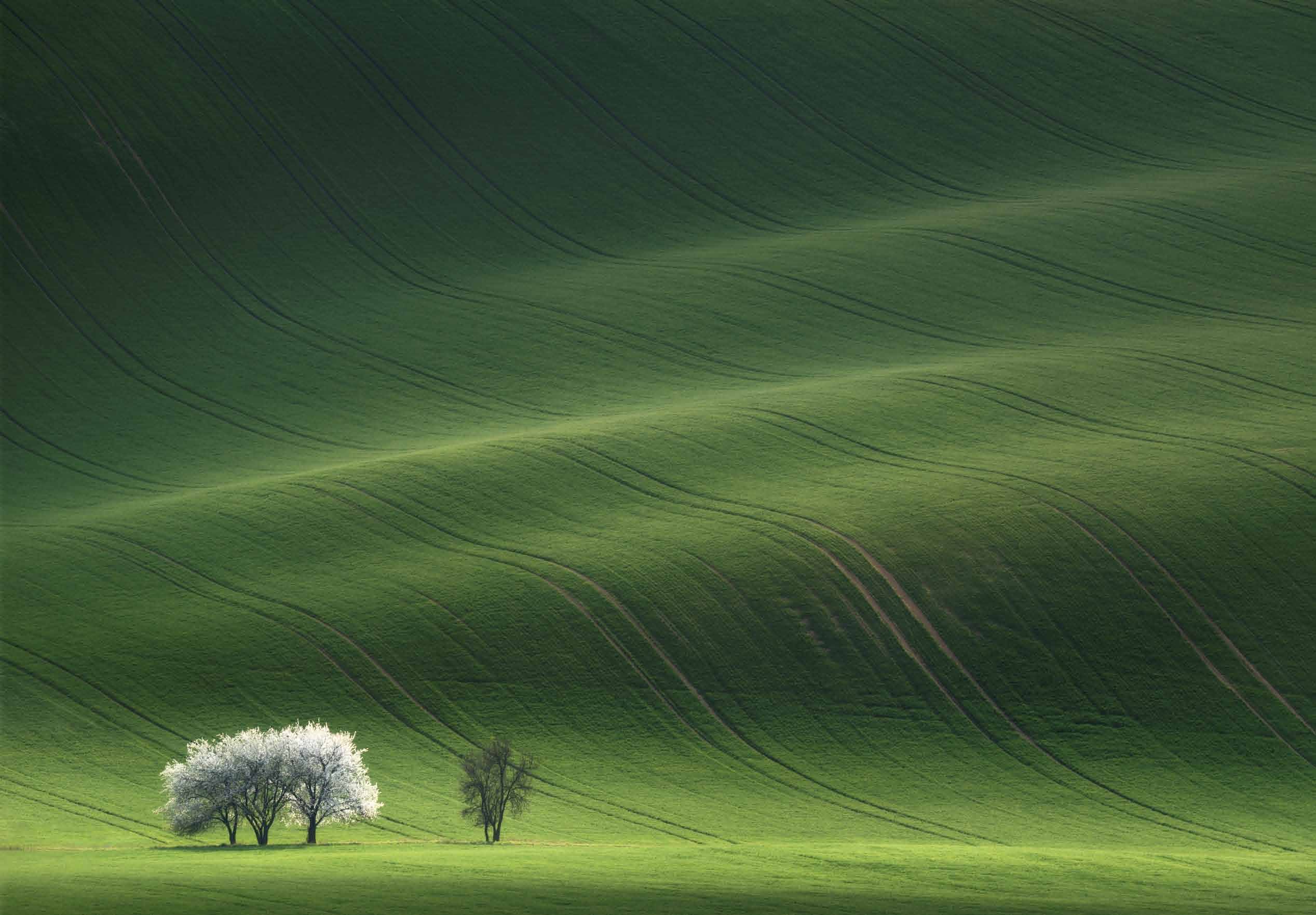 Bioética para el siglo XXI: construyendo esperanz