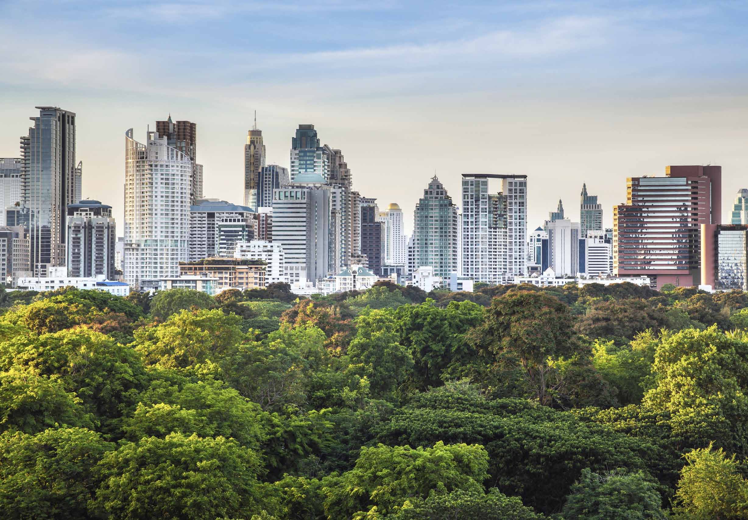 Princípios ecológico-éticos da Sustentabilidade Socioambiental