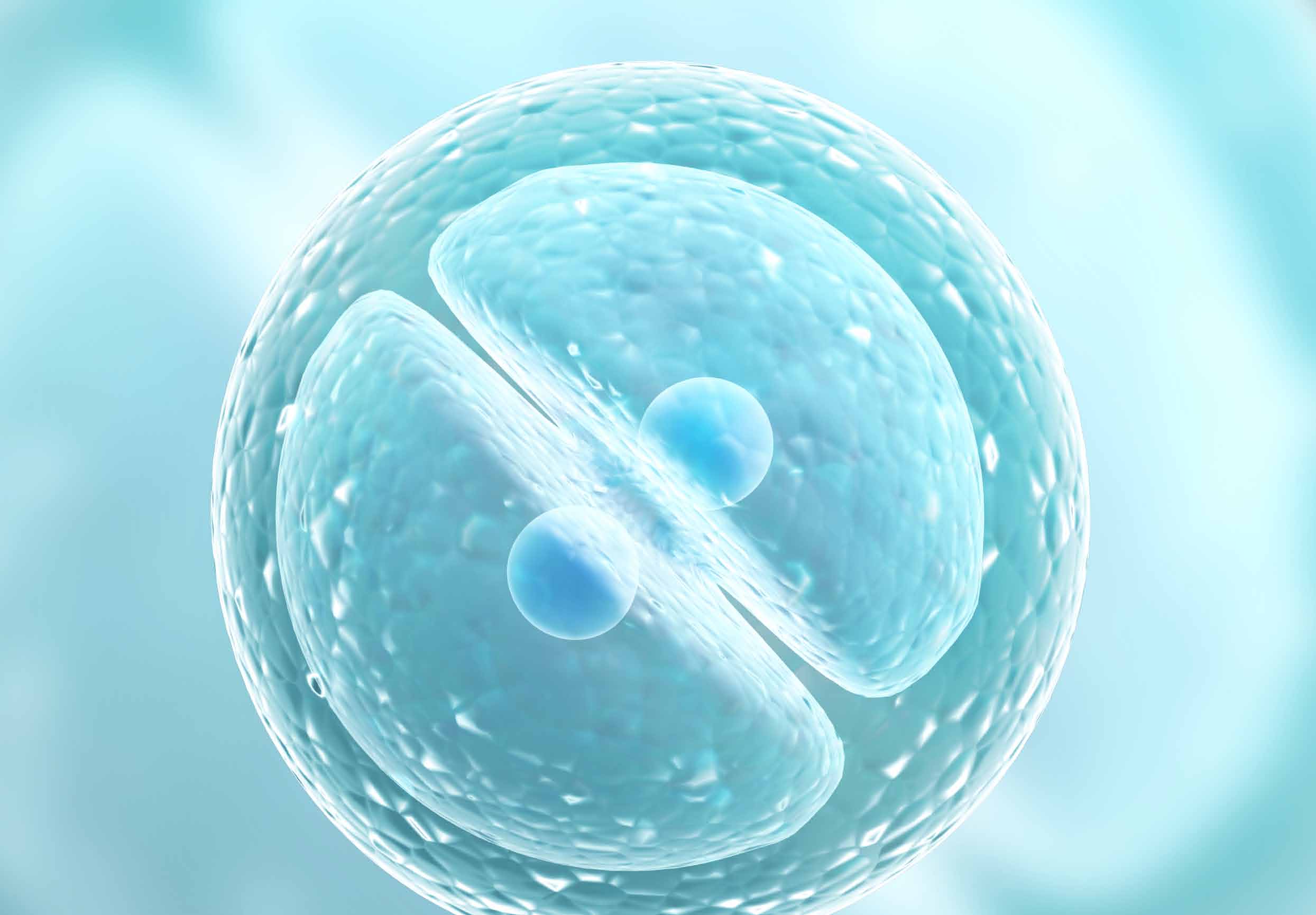 Tecnologias de reprodução assistida e a questão dos riscos para mulheres e embriões