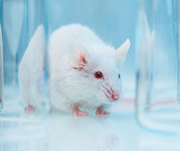 Utilización de animales en la investigación biomédica y médica